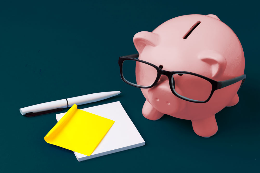 Schwein_DR.-Foerster_web